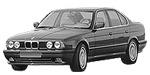 BMW E34 P1E1F Fault Code