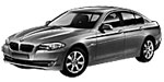 BMW F10 P1E1F Fault Code